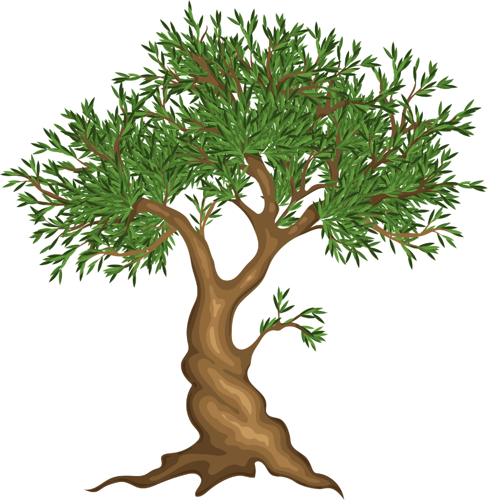 Pokok Zaitun — Tanah Zaitun Kronika